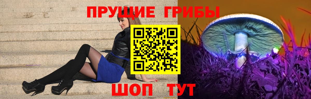 Псилоцибиновые грибы мухоморы  Вход с VPN  Минусинск 